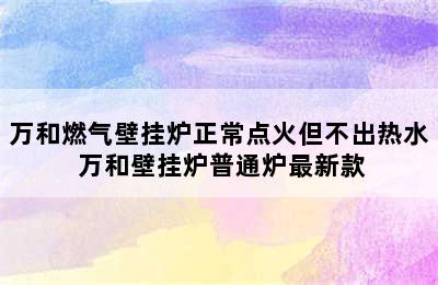 万和燃气壁挂炉正常点火但不出热水 万和壁挂炉普通炉最新款